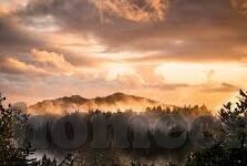 竞猜足球比分直播网-竞猜足球比分直播网，球迷狂欢的数字新阵地