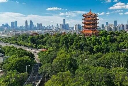 世界杯哥斯达黎加预球-哥斯达黎加在世界杯预选赛中的足球之旅